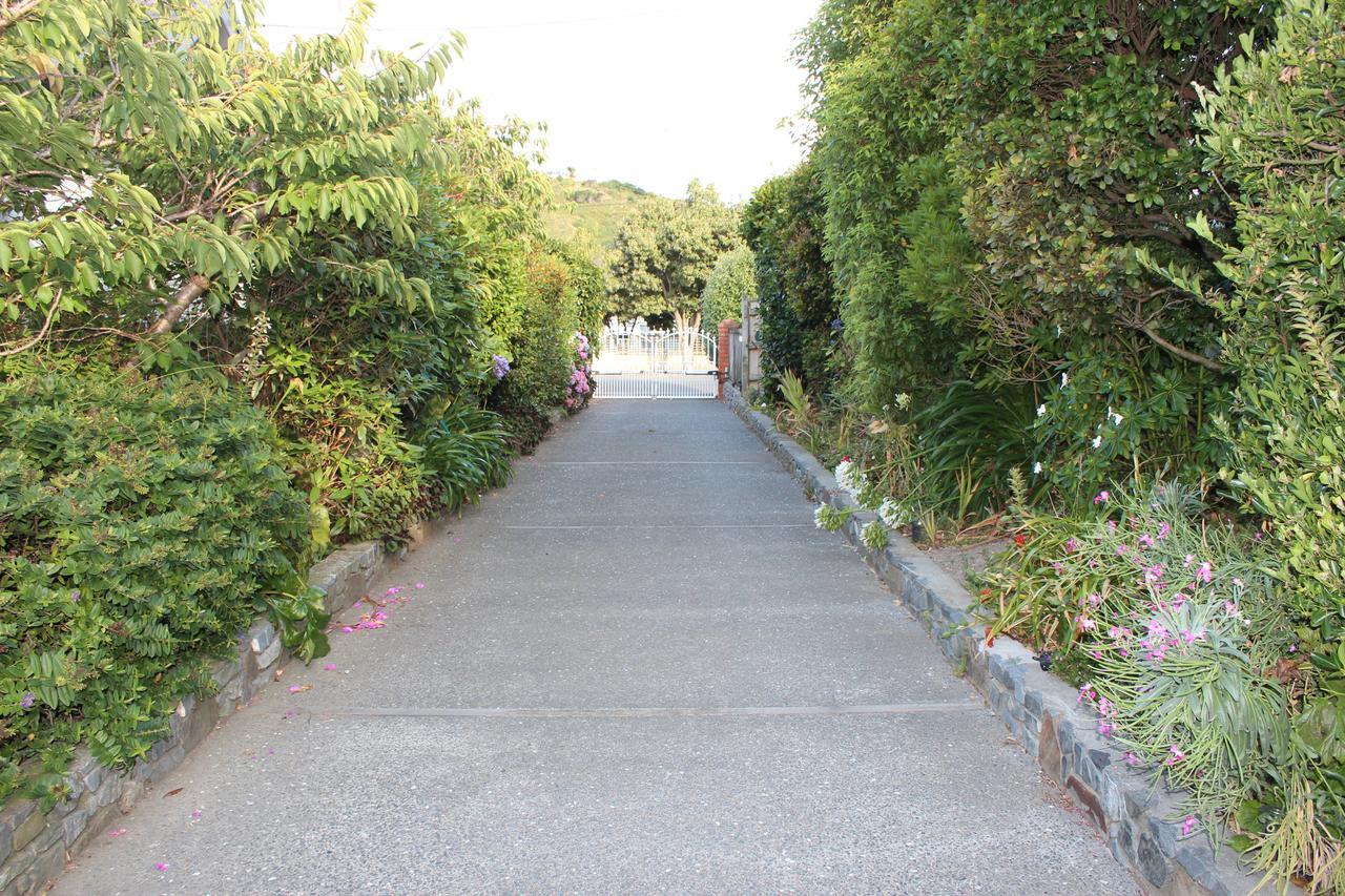 Casa Felina Apartment Wellington Exterior photo